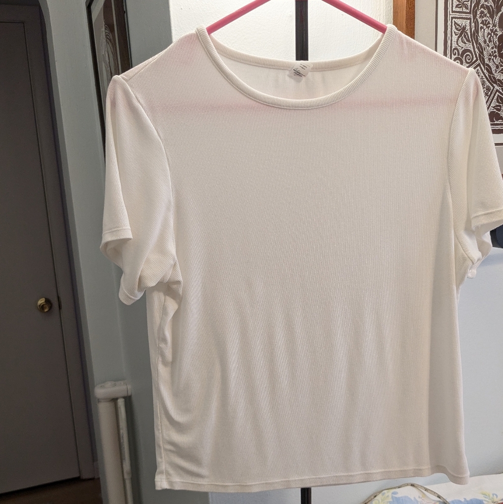 PARADE Large Crop Top Comfort Short Sleeve | Lush Rib White/Cloud